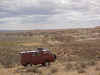 piglands.jpg (137123 bytes)