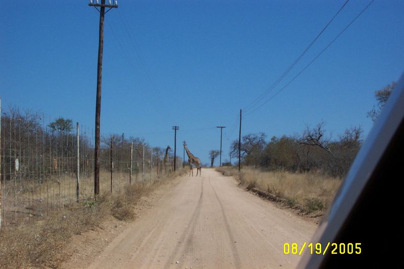 DCP_3509