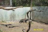 DCP_3463
