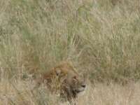 IMG_1943
