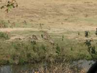 IMG_2012