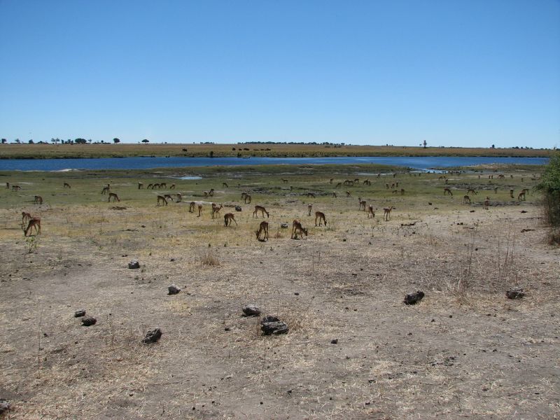 Muchenje (40)