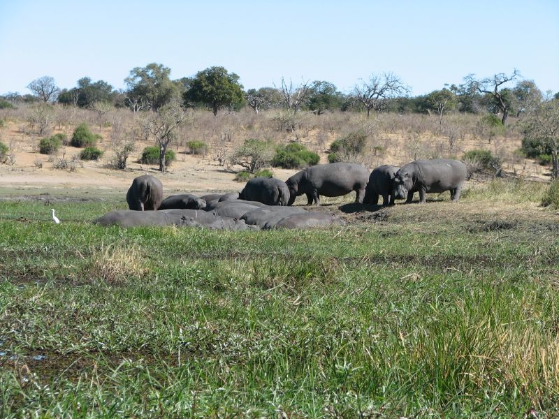 Muchenje (53)