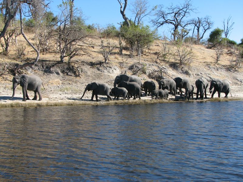 Muchenje (57)