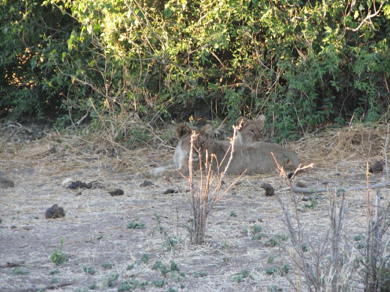 Muchenje (67)