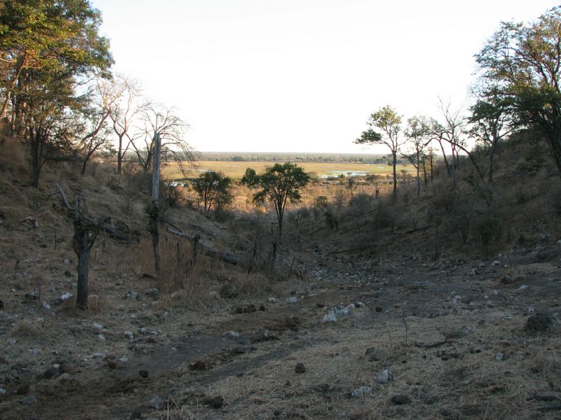 Muchenje (74)