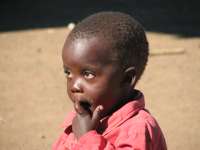 Muchenje (31)