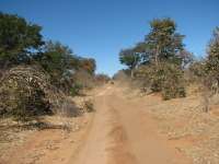 Muchenje (35)