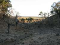 Muchenje (74)