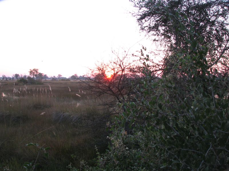 Nxabega (17)