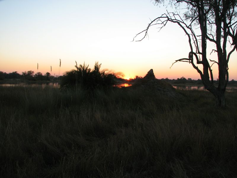 Nxabega (8)