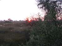 Nxabega (17)