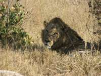 Nxabega (26)