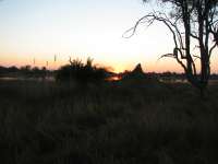 Nxabega (8)