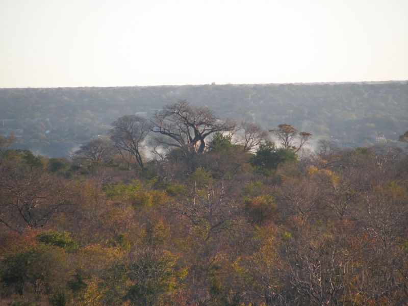 Victoria Falls-Zambi (4)