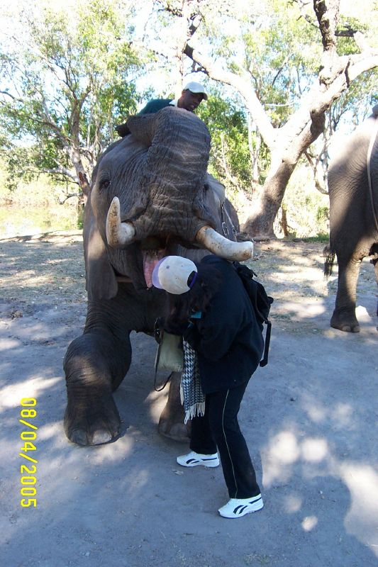 Victoria Falls-Zambi (41)