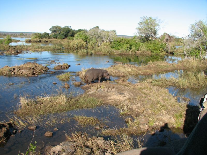 Victoria Falls-Zambi (48)