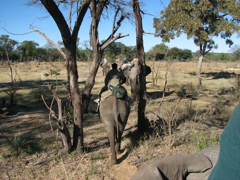 Victoria Falls-Zambi (54)