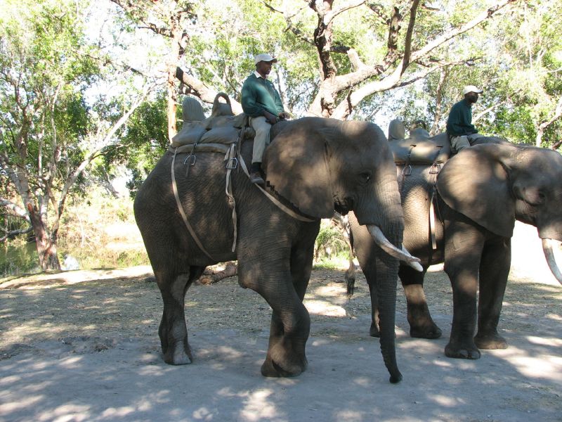Victoria Falls-Zambi (57)