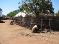 Victoria Falls-Zambi (26)