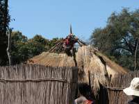 Victoria Falls-Zambi (32)