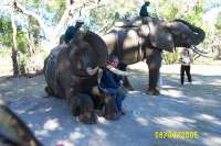 Victoria Falls-Zambi (43)