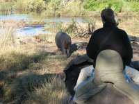 Victoria Falls-Zambi (46)