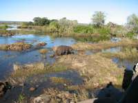 Victoria Falls-Zambi (48)