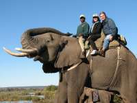 Victoria Falls-Zambi (51)
