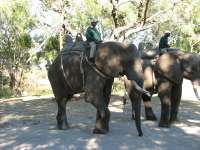 Victoria Falls-Zambi (57)