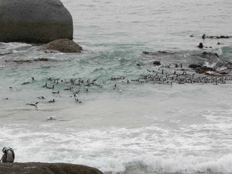 CapeTown-3-13