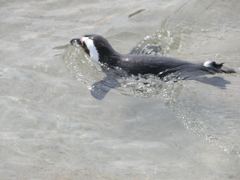 CapeTown-3-20