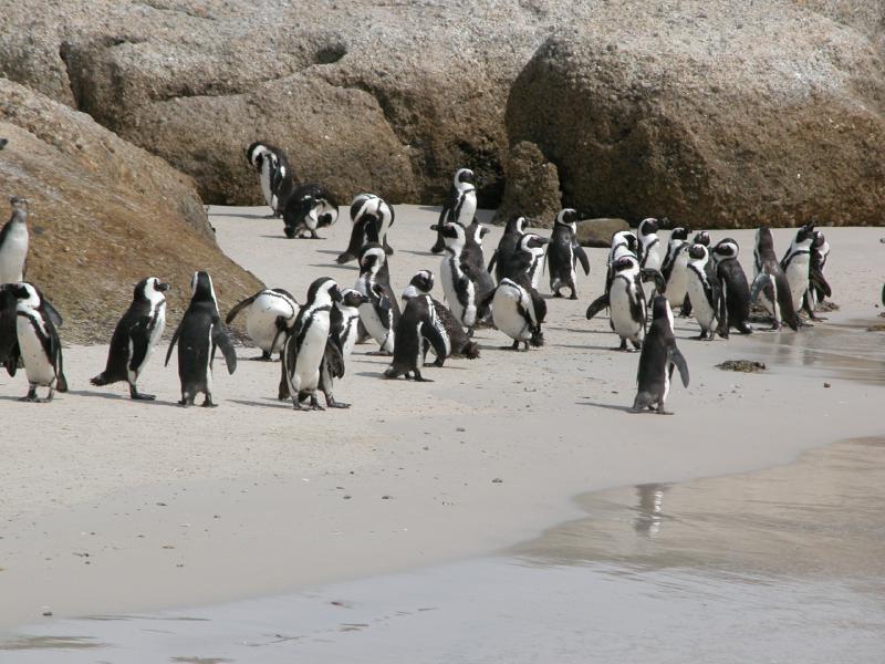 CapeTown-3-23