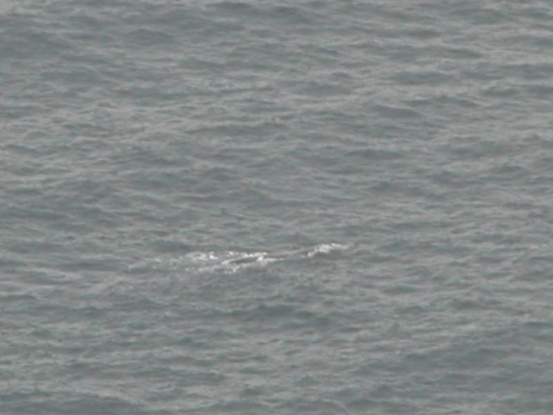 CapeTown-3-36