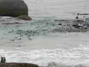 CapeTown-3-13