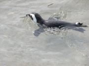 CapeTown-3-20