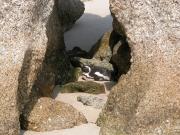 CapeTown-3-22