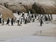 CapeTown-3-23