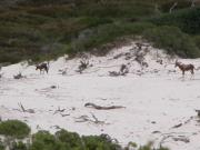CapeTown-3-29