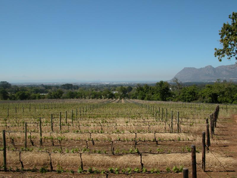 CapeTown-1-07