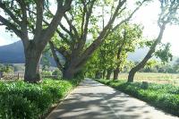 CapeTown-1-06