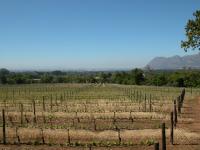 CapeTown-1-07