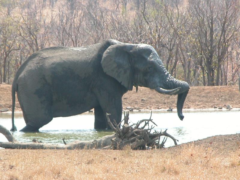 Kruger-1-10