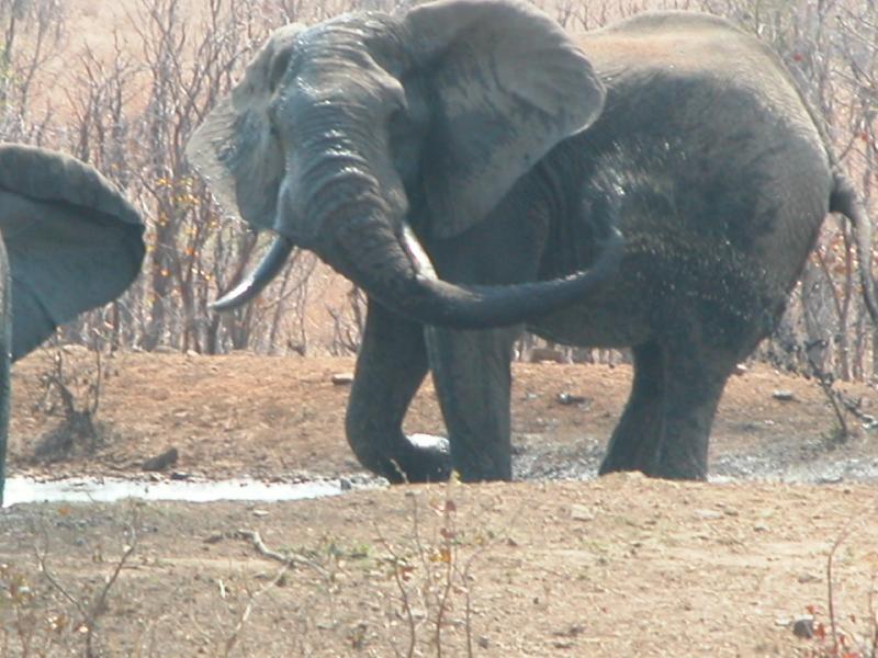 Kruger-1-12