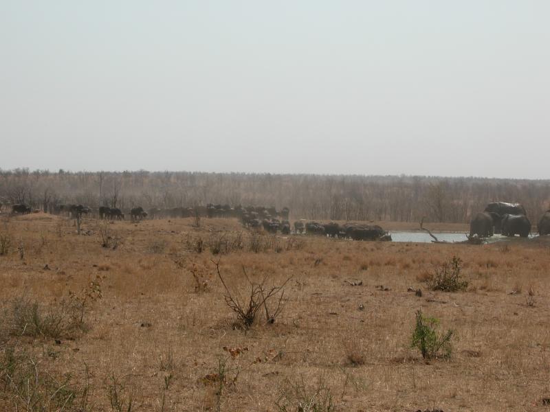 Kruger-1-19