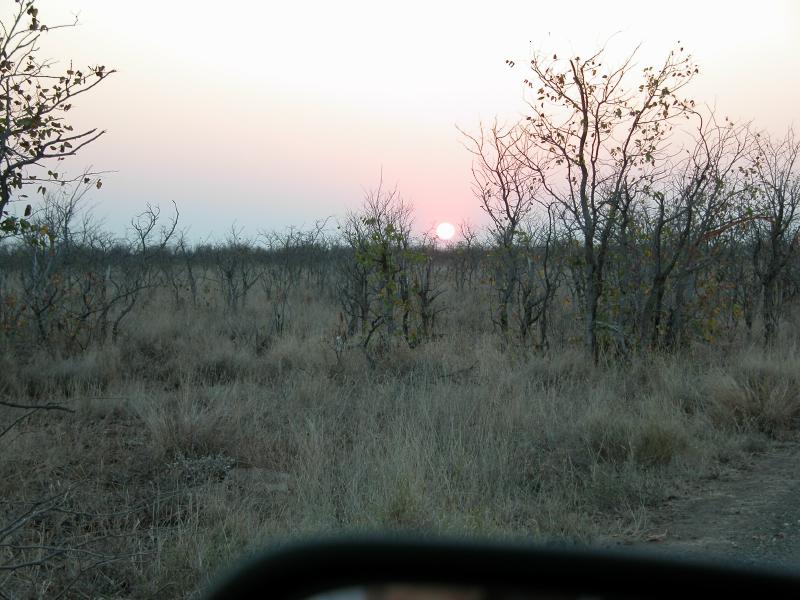 Kruger-1-54