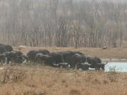 Kruger-1-18