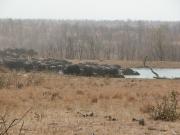 Kruger-1-20
