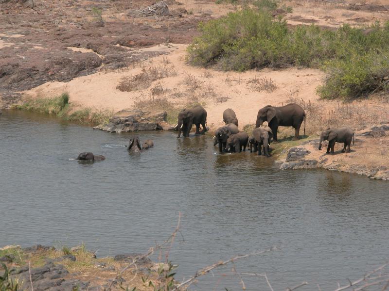 Kruger-2-26