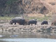 Kruger-2-22